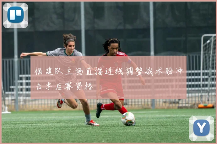 福建队主场直播连线调整战术盼冲击季后赛资格